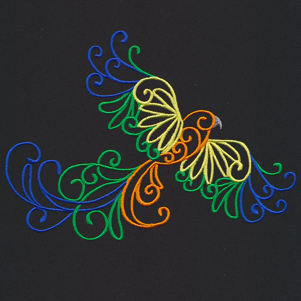 Wild Spirals - Sun Conure - Image 4