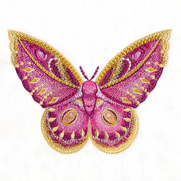 Winged & Beautiful - Image 5