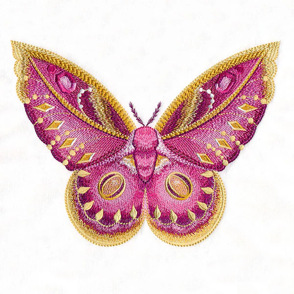Winged & Beautiful - Image 7