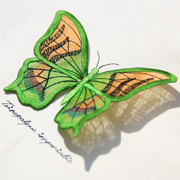 Winged Curiosities (3D Applique) (Design Pack) - Image 2