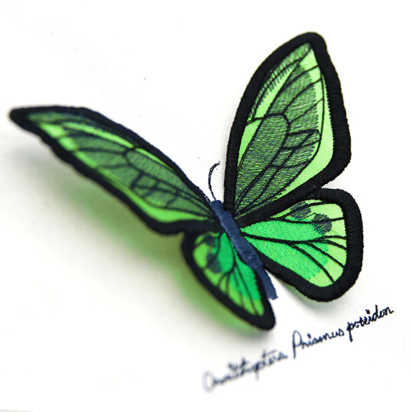 Winged Curiosities (3D Applique) (Design Pack) - Image 3