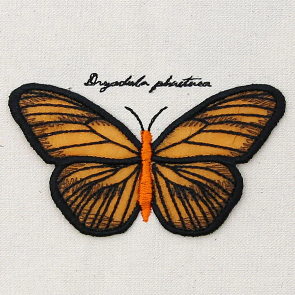 Winged Curiosities - Banded Orange (3D Applique) - Image 5