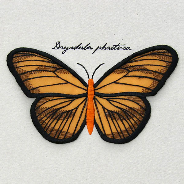 Winged Curiosities - Banded Orange (3D Applique) - Image 6
