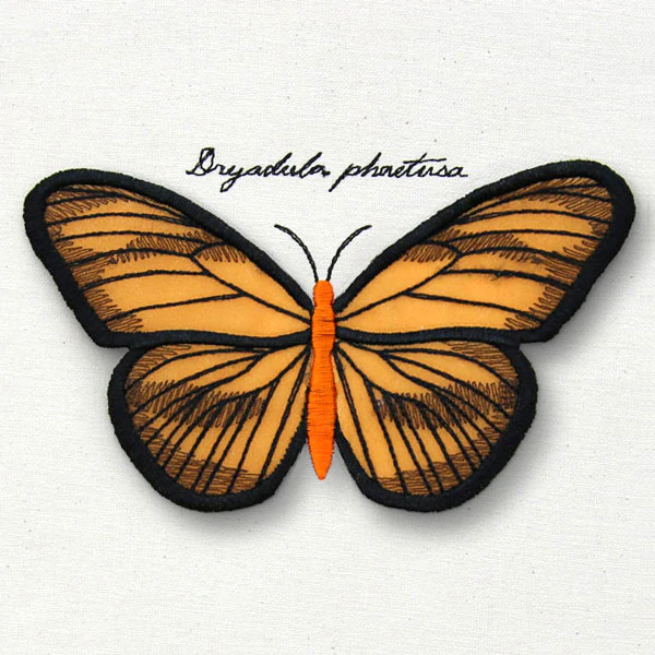 Winged Curiosities - Banded Orange (3D Applique) - Image 7