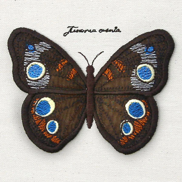 Winged Curiosities - Common Buckeye (3D Applique) - Image 6