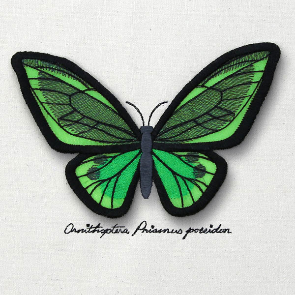 Winged Curiosities - Green Birdwing (3D Applique) - Image 3
