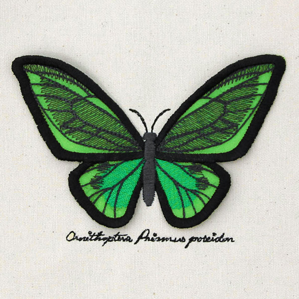 Winged Curiosities - Green Birdwing (3D Applique) - Image 4