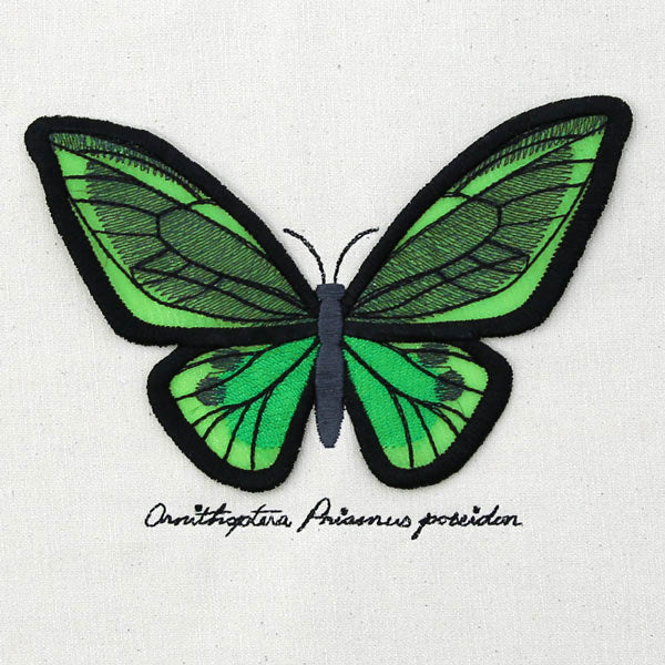 Winged Curiosities - Green Birdwing (3D Applique) - Image 9