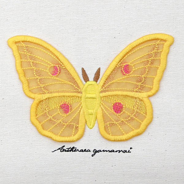 Winged Curiosities - Japanese Silk Moth (3D Applique) - Image 3