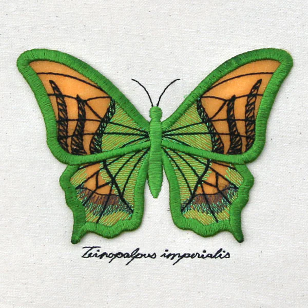 Winged Curiosities - Kaiser-i-Hind (3D Applique) - Image 5