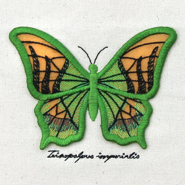 Winged Curiosities - Kaiser-i-Hind (3D Applique) - Image 8