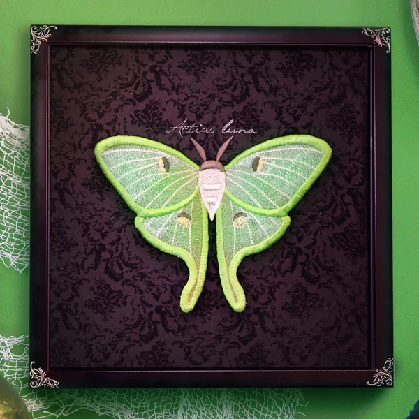 Winged Curiosities - Luna Moth (3D Applique) - Image 7
