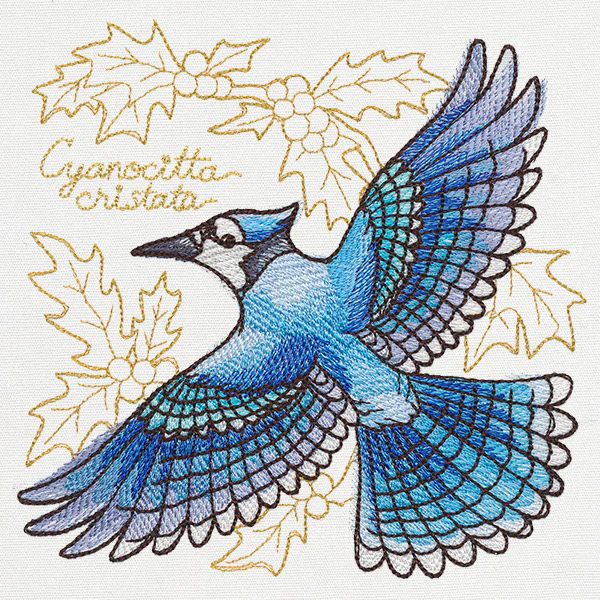 Yuletide Medley - Painted Blue Jay - Image 3