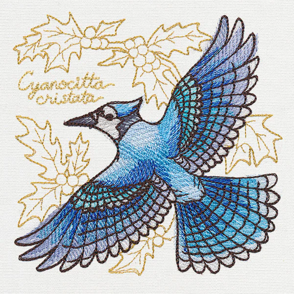 Yuletide Medley - Painted Blue Jay - Image 4
