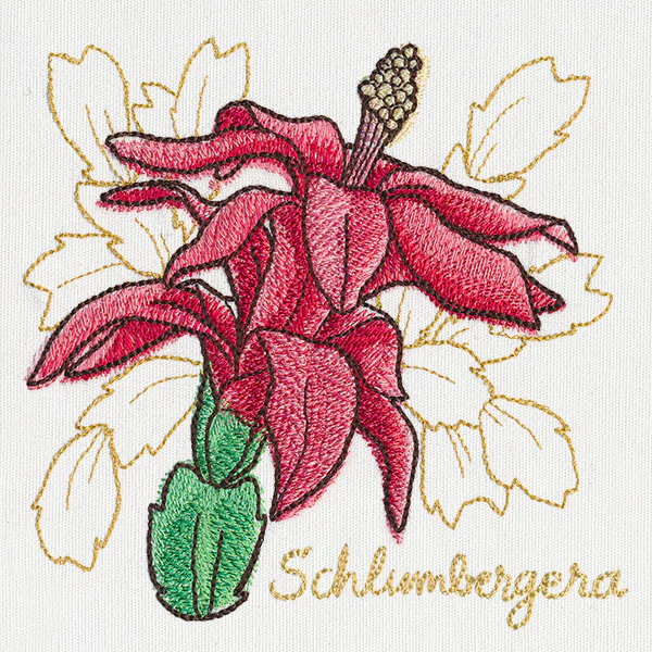 Yuletide Medley - Painted Christmas Cactus - Image 4