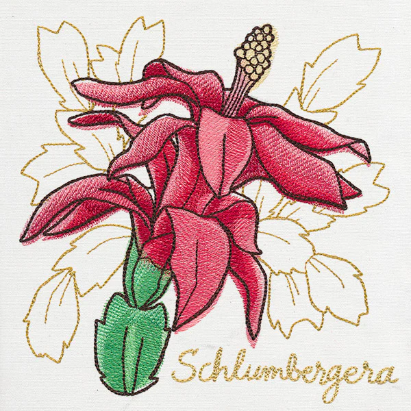 Yuletide Medley - Painted Christmas Cactus - Image 6