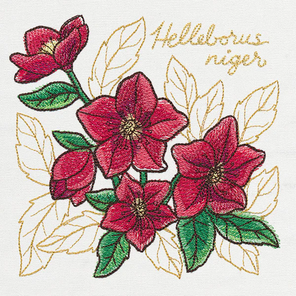 Yuletide Medley - Painted Christmas Rose - Image 2