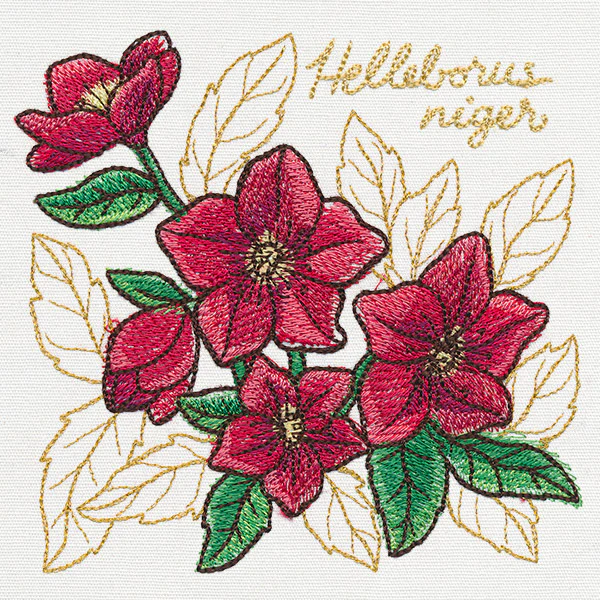 Yuletide Medley - Painted Christmas Rose - Image 3