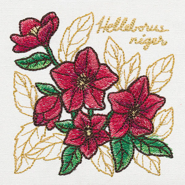 Yuletide Medley - Painted Christmas Rose - Image 4