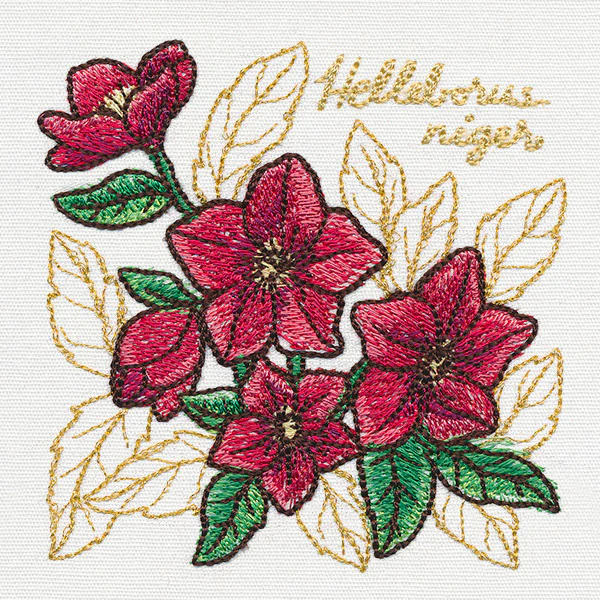 Yuletide Medley - Painted Christmas Rose - Image 5