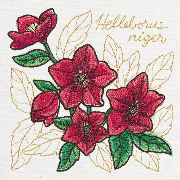 Yuletide Medley - Painted Christmas Rose - Image 6